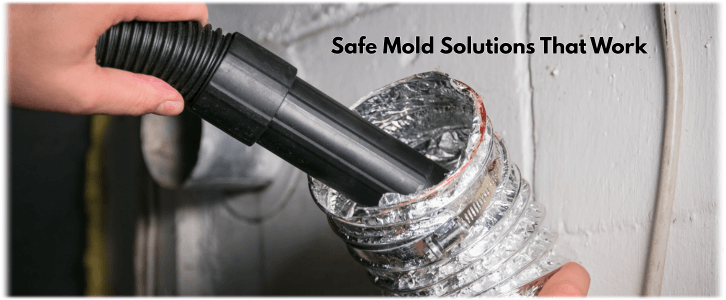 Air Duct Mold Removal in Baltimore