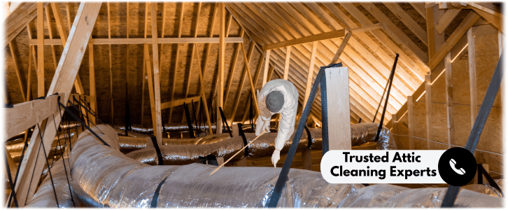 Attic Cleaning Baltimore