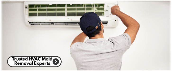 HVAC Mold Removal Baltimore